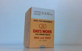 DAYS WORK PLUG 2Z/15CT